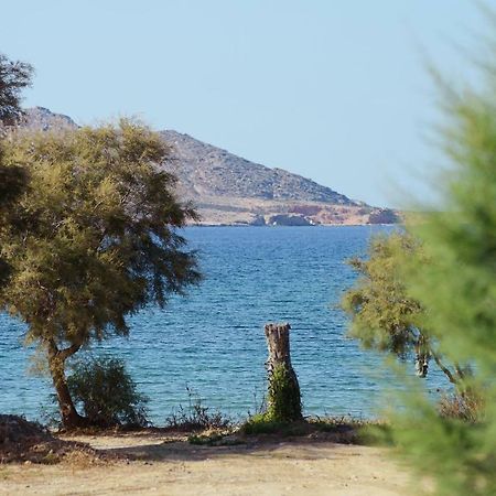 Seaside Paros - Naousa Extérieur photo